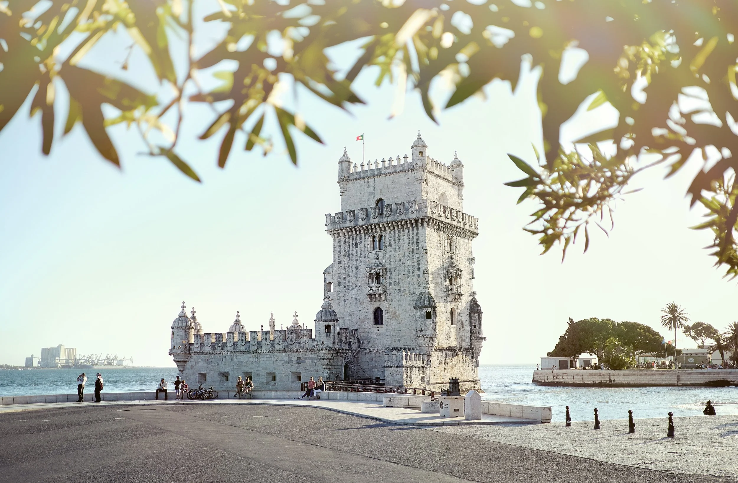Photo by Alex Paganelli on Unsplash