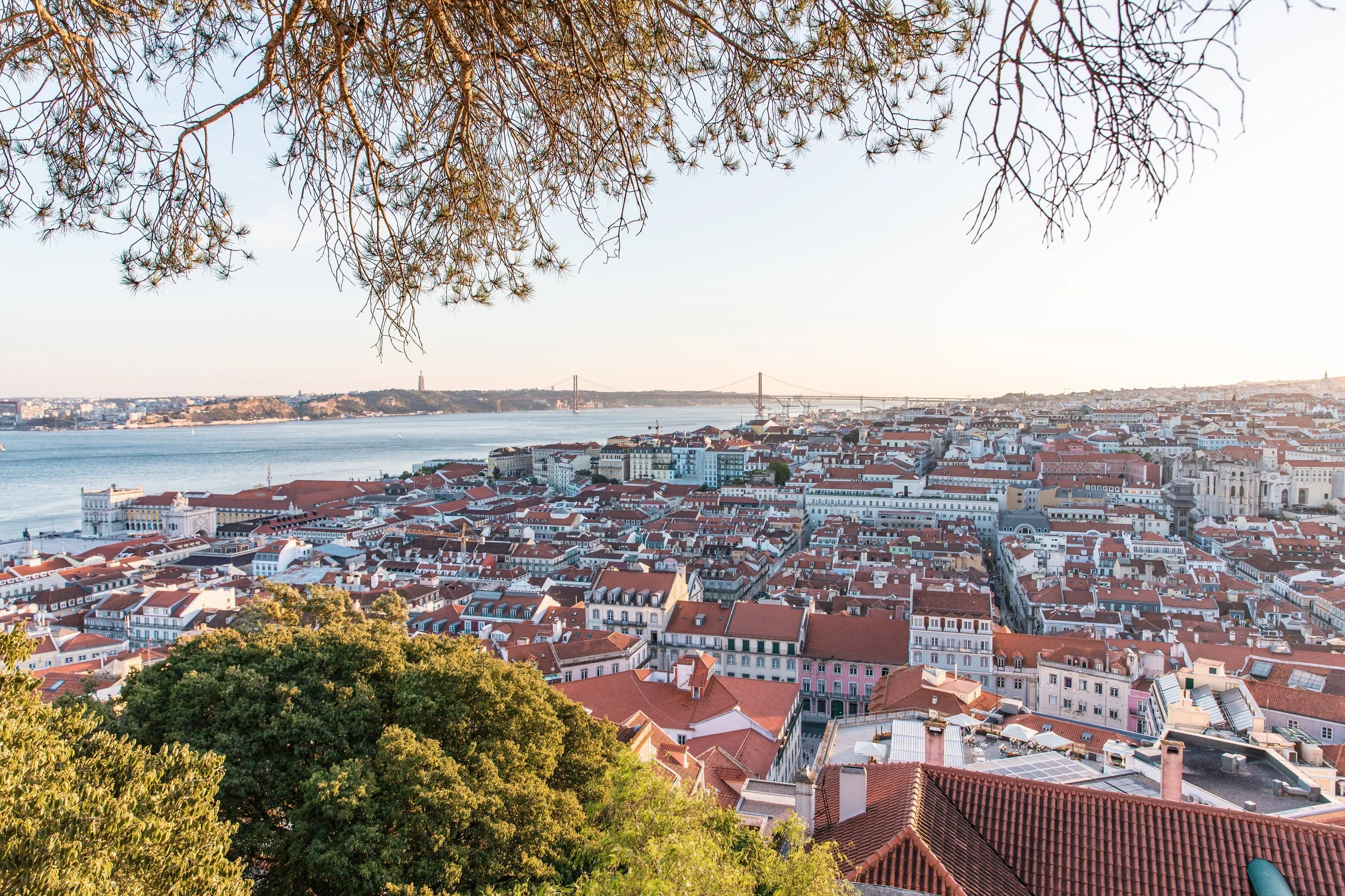  Photo by André Lergier on Unsplash 