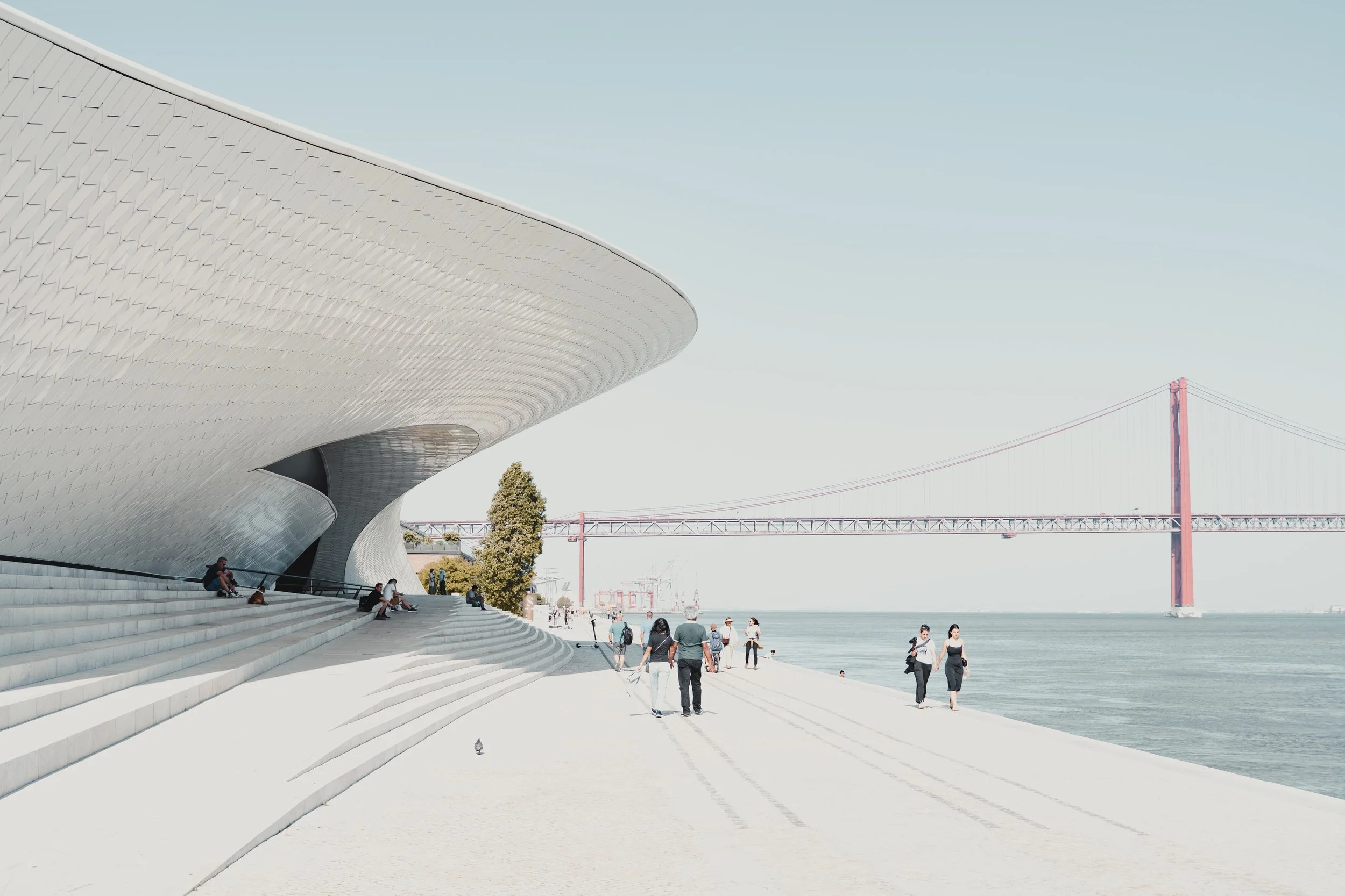  Photo by Michiel Annaert on Unsplash 